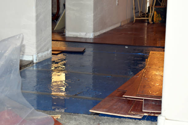 Professional Water Damage Restoration technician working in Free Soil, MI
